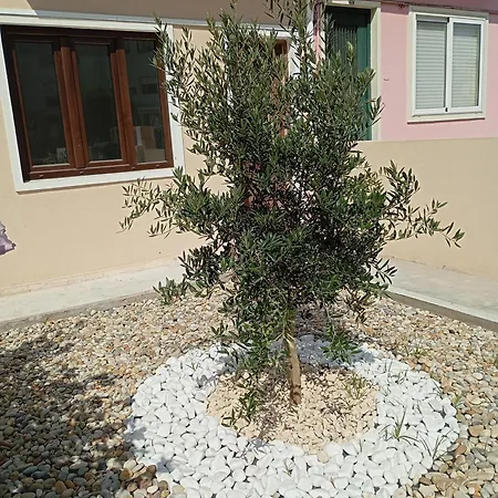 Charming Campanha Family