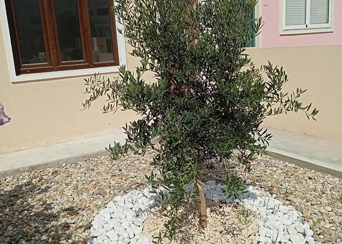 Charming Campanhã Family